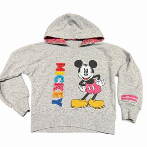 Disney Parks Mickey Mouse Hoodie Sweatshirt Gray Embroidered Rainbow Logo Size S